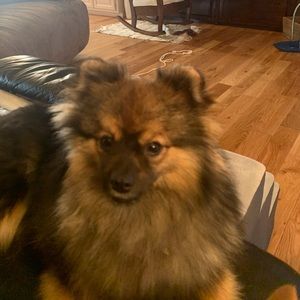 Meet your Posher, Fonda